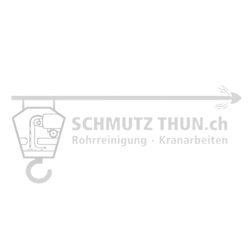 Social Media Marketing Beratung in Thun für KMU