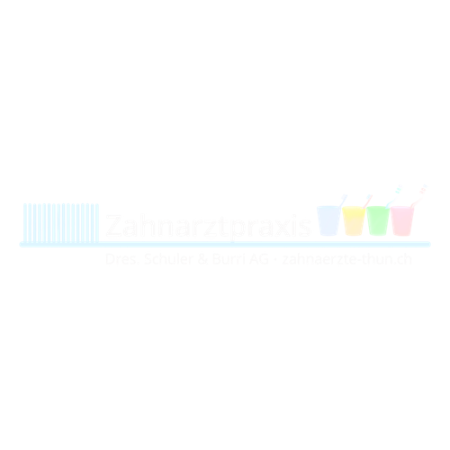 Social Media Marketing Kampagnen für regionale Firmen in Thun